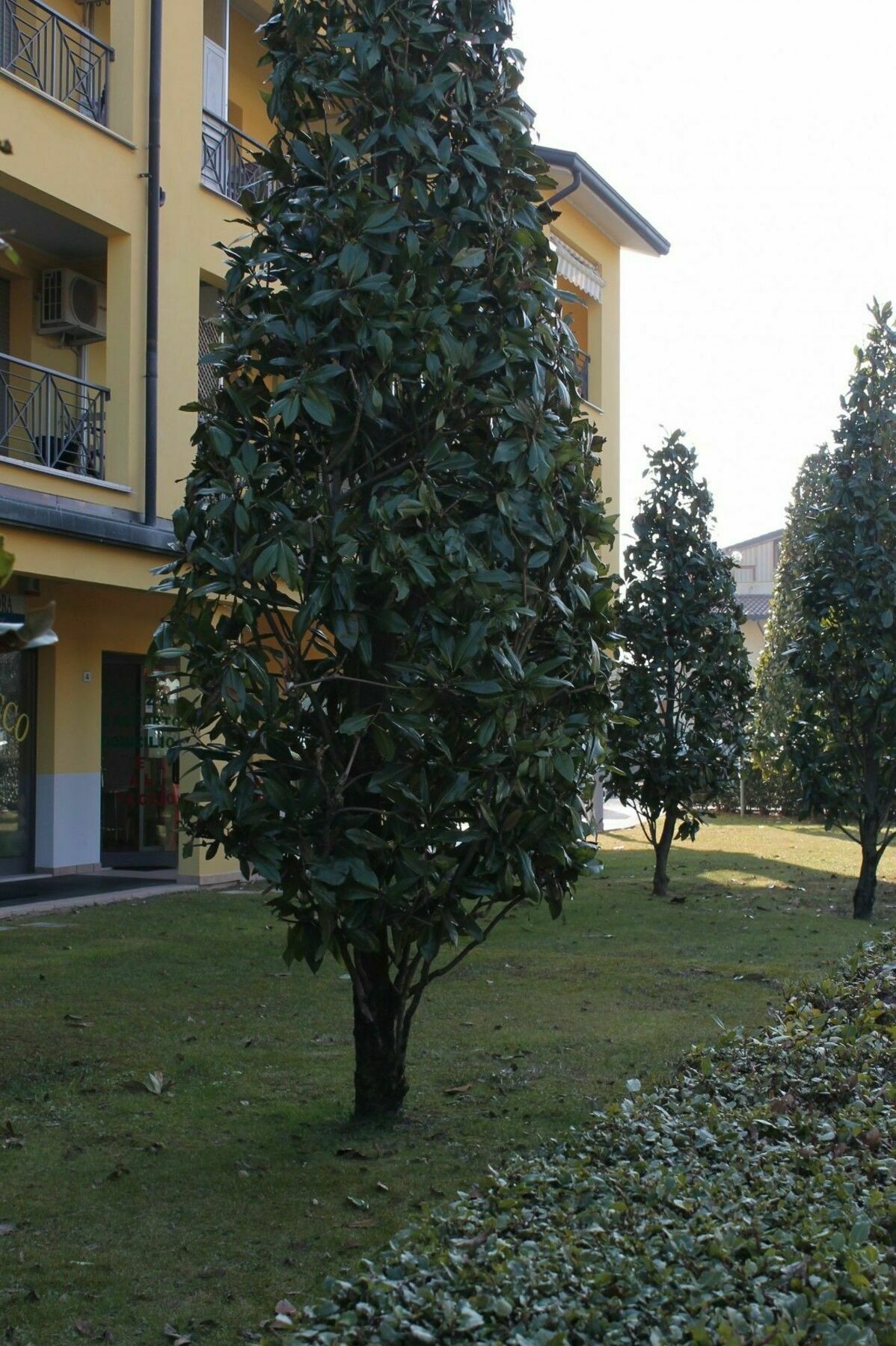 Sarno Apartments Caravaggio Sirmione Exterior photo